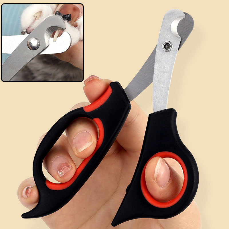 Tierpflege-Nagelschere für Hau – Grooming Scissors Bewertung und Preis
