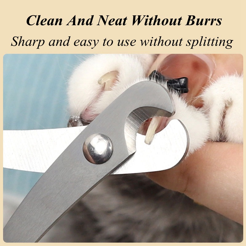 Tierpflege-Nagelschere für Hau – Grooming Scissors Bewertung und Preis