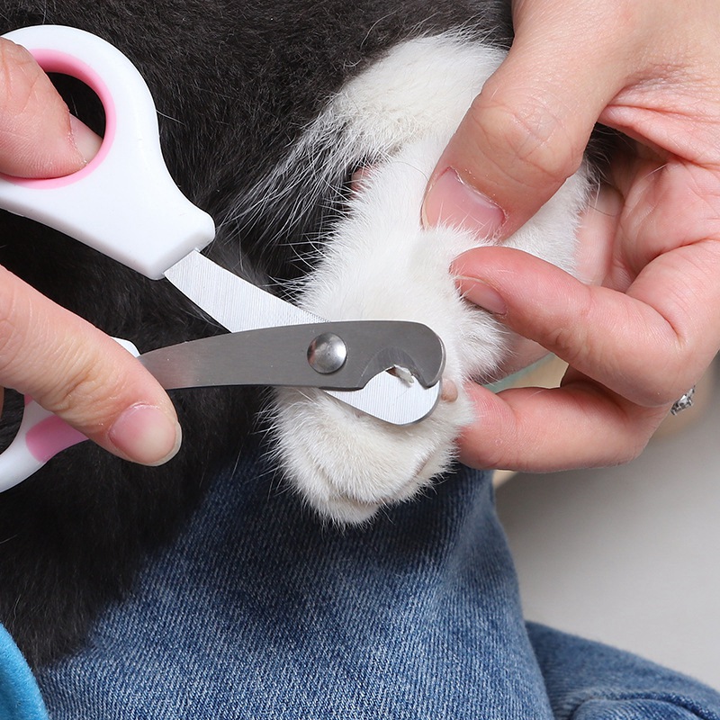 Tierpflege-Nagelschere für Hau – Grooming Scissors Bewertung und Preis